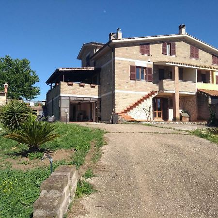 La Tana Di Stefano Hotel Anguillara Sabazia Eksteriør billede